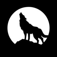NOEV avatar