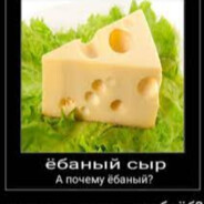 сыр ебаный avatar
