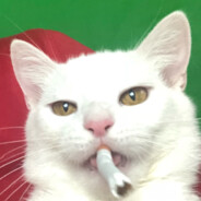 Murz avatar