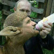 джихадист с уфы avatar