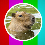 capybara avatar