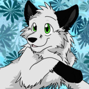 Wolfy avatar