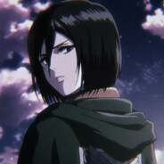 Mikasa avatar