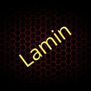 Lamin avatar