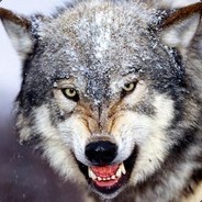 BEBO avatar