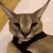 Hecker (actually) avatar