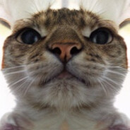Akayo avatar