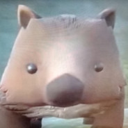 Главный БОБЕР avatar
