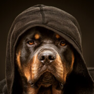 GIDROKSITIMILINOVICH avatar