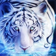 10_Tiger_10 avatar