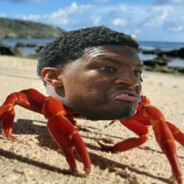 MR. CRABS avatar