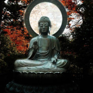 budda avatar